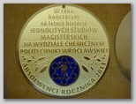 medal trawiony i malowany